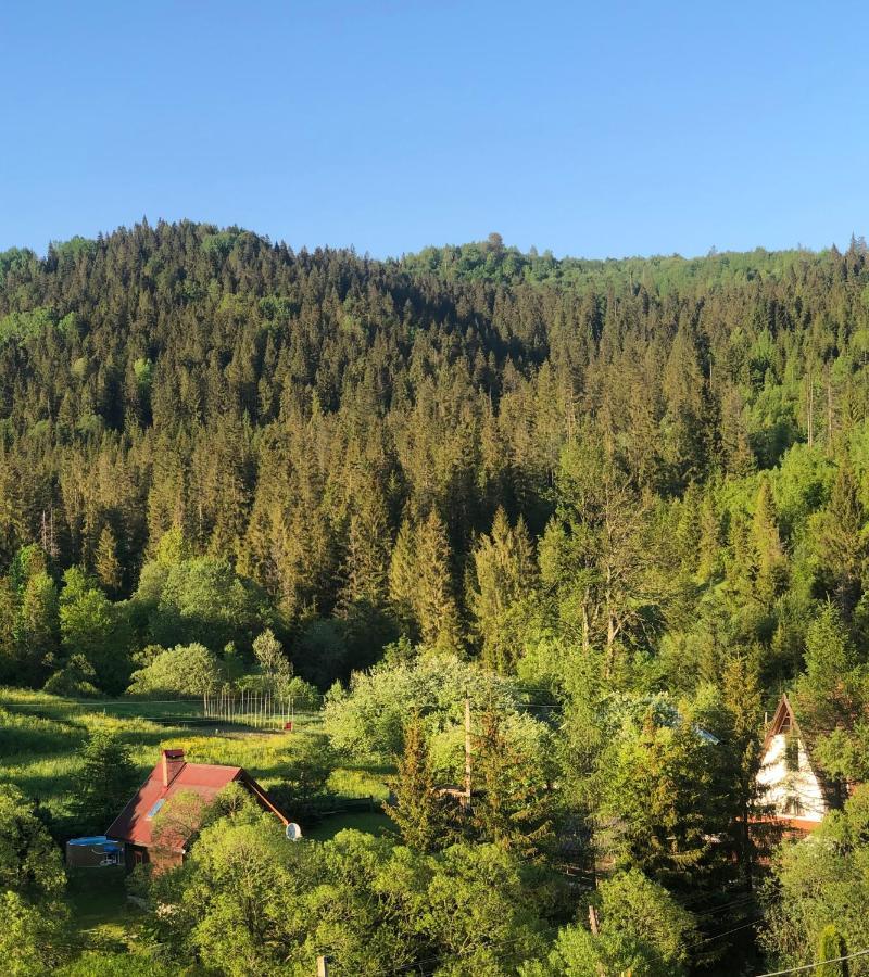 Sadyba Vanda Orawczyk Zewnętrze zdjęcie